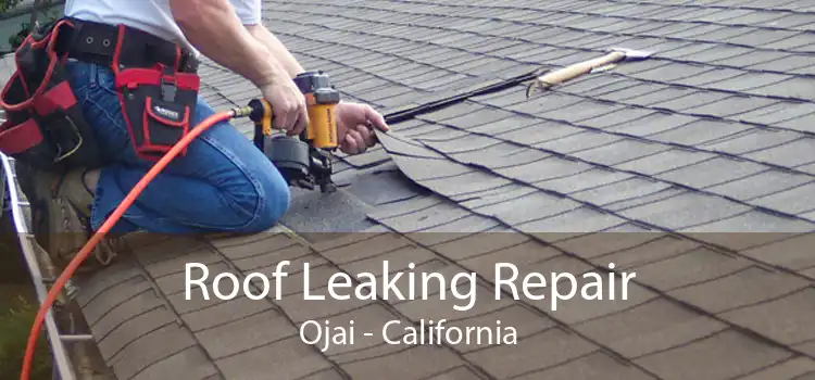Roof Leaking Repair Ojai - California