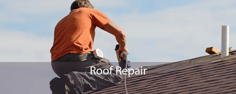 Roof Repair 