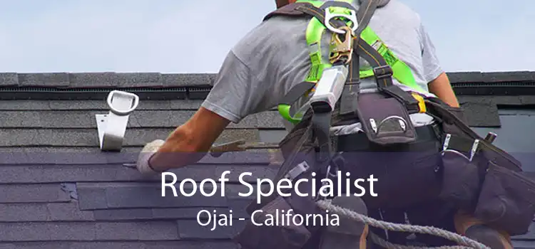 Roof Specialist Ojai - California