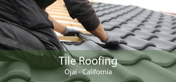 Tile Roofing Ojai - California